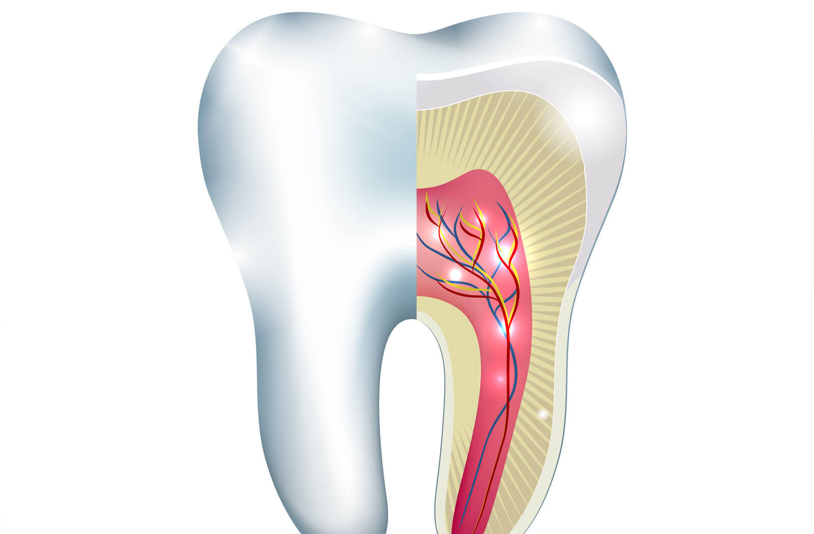 Endodontia