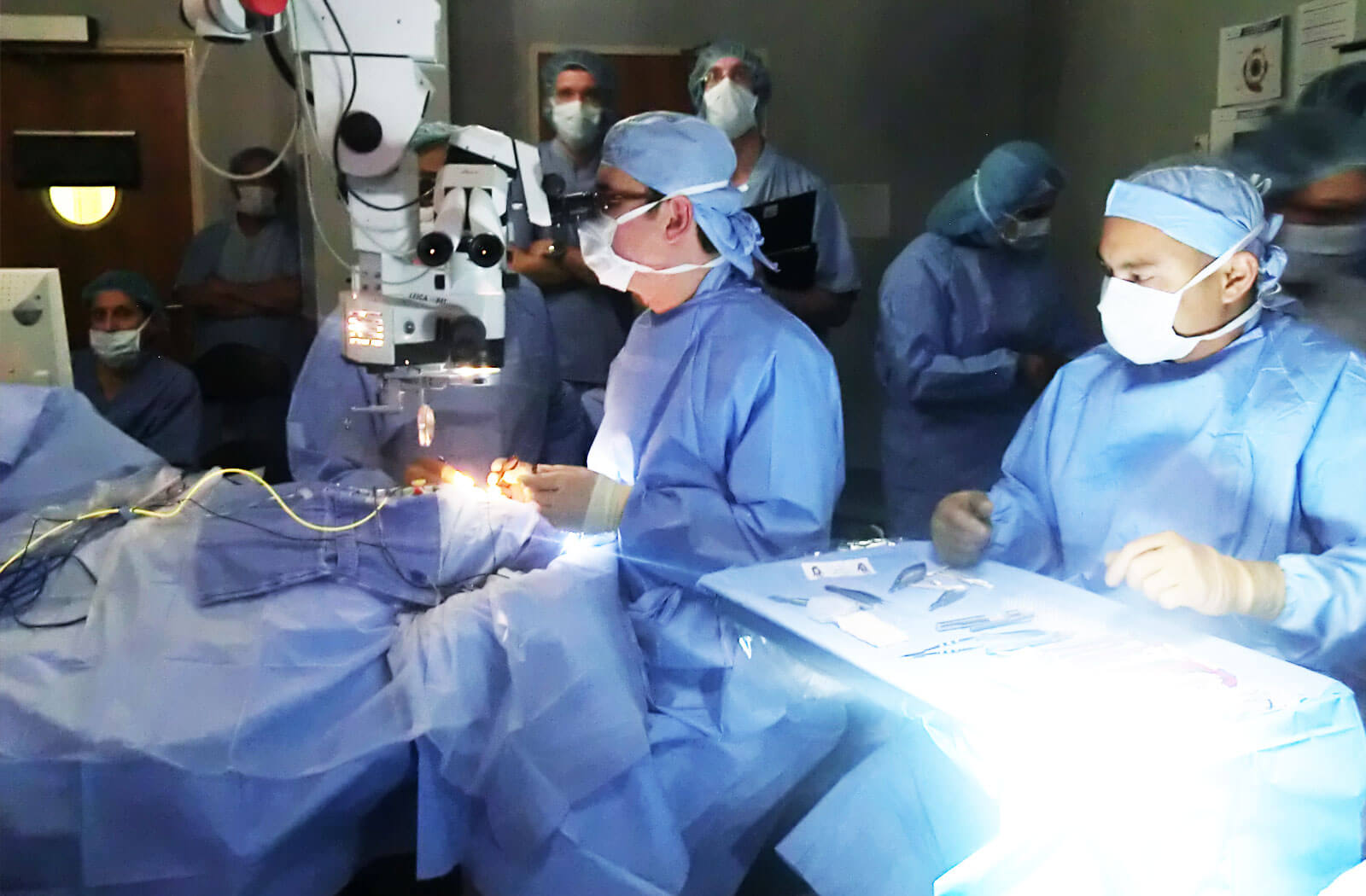 Vitreoretina Services